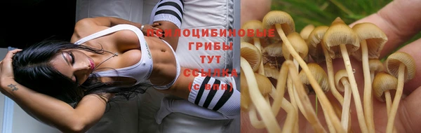герыч Михайлов