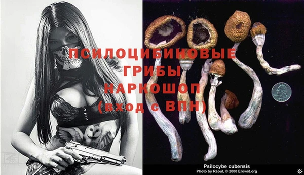 таблы Михайловск